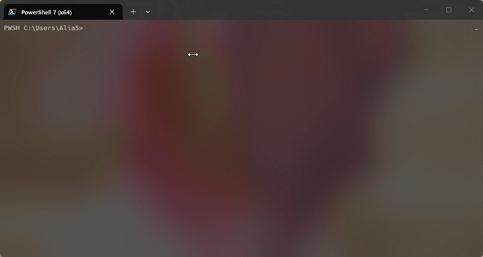 SISR_Install_gif